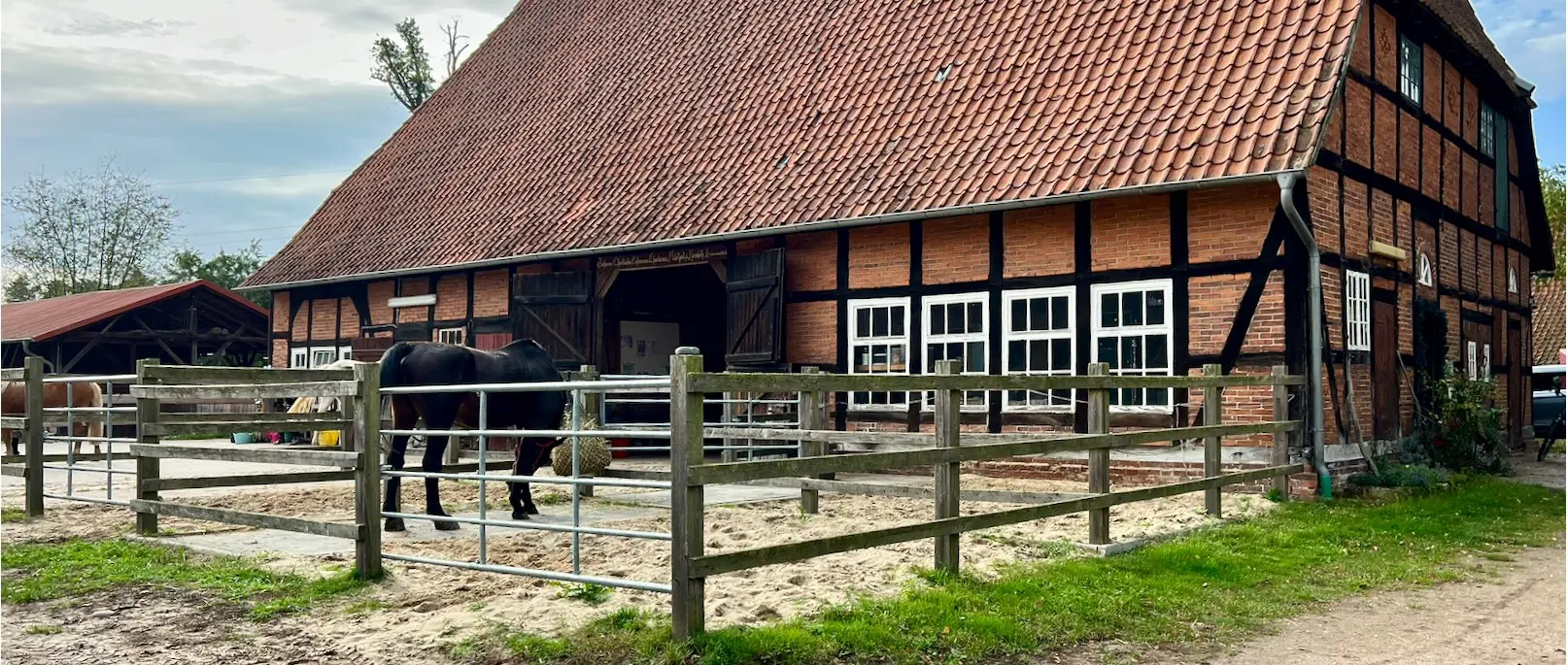 Fachwerkstall mit Paddock in Dörverden, ein Pferd frisst aus einem Heunetz am Zaun
