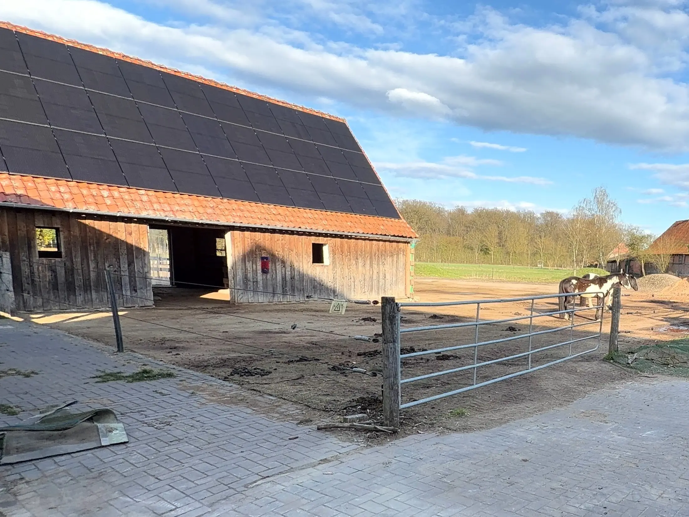 Holzstall mit Solardach, Paddocktor und Pferd auf dem Pferdebetrieb in Dörverden